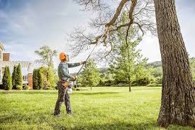 Best Hedge Trimming  in Staten Island, NY