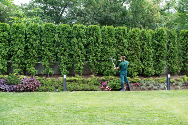 Best Utility Line Clearance  in Staten Island, NY